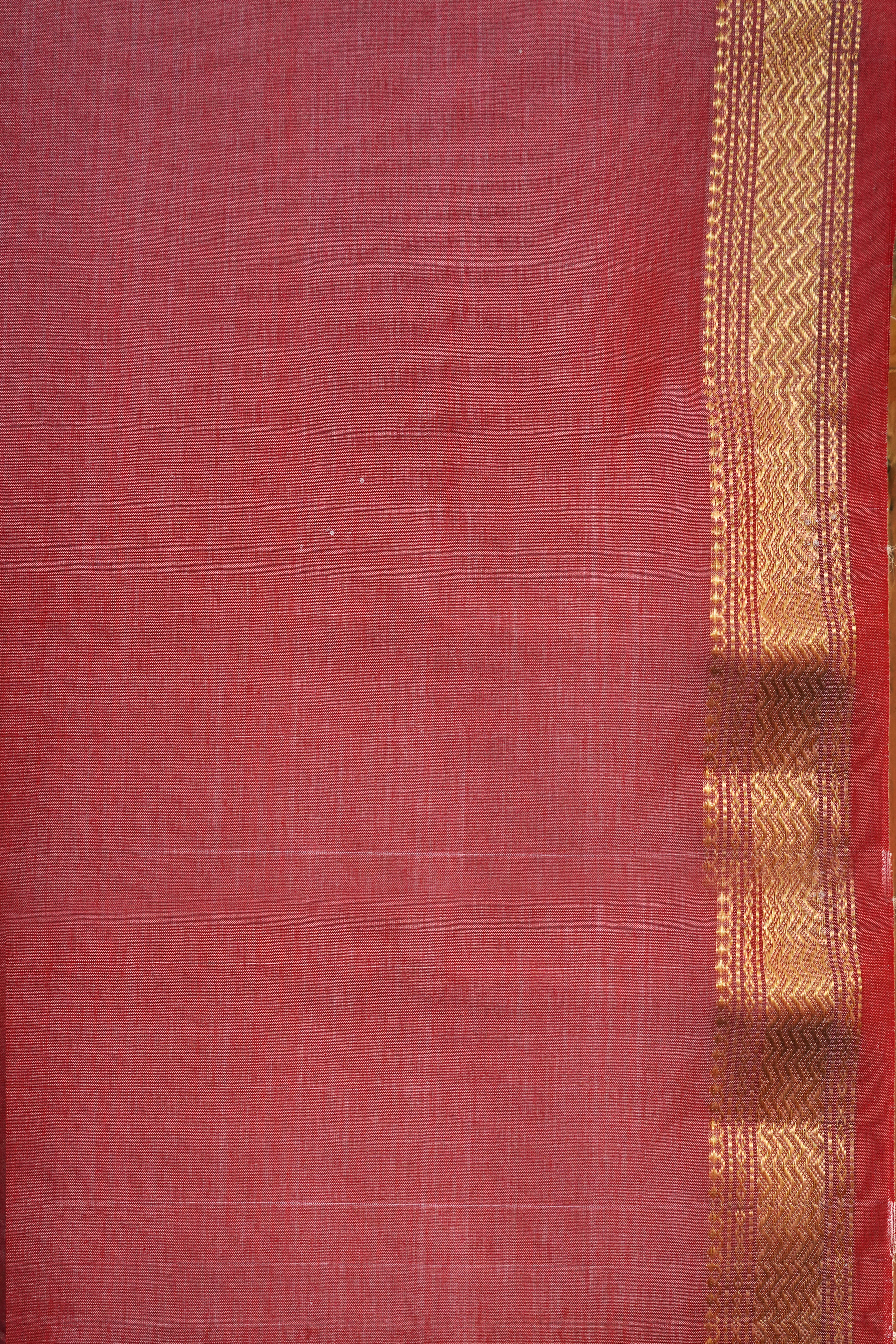Maheshwari Silk Cotton Saree