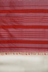 Maheshwari Silk Cotton Saree