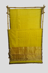 Maheshwari Cotton Silk Full Tissue Saree