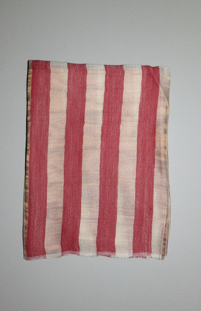 Pashmina Pure Wool Shawl – Dark Beige & Red